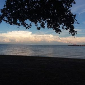 Meet your Posher, Katelyn